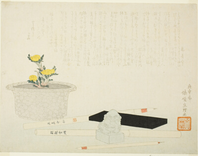 Potted adonis with writing implements
