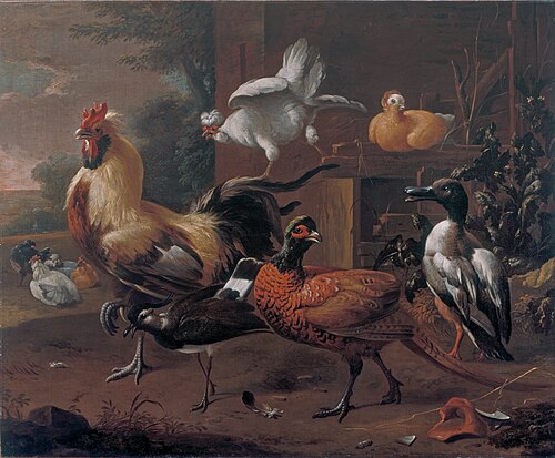 Poultry-yard