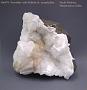 Powellite