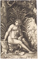 Procris