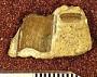 Psammodus springeri St.John & Worthen