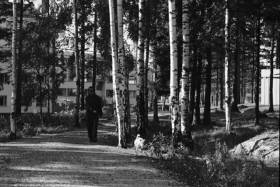 Puotinharju