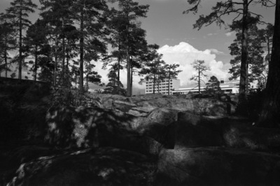 Puotinharju