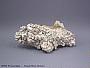 Pyromorphite