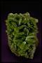 Pyromorphite