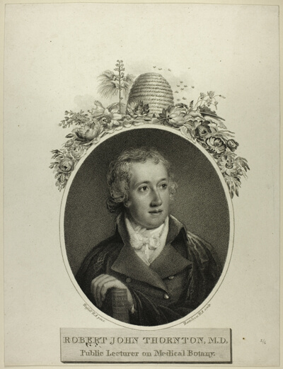 R. J. Thornton