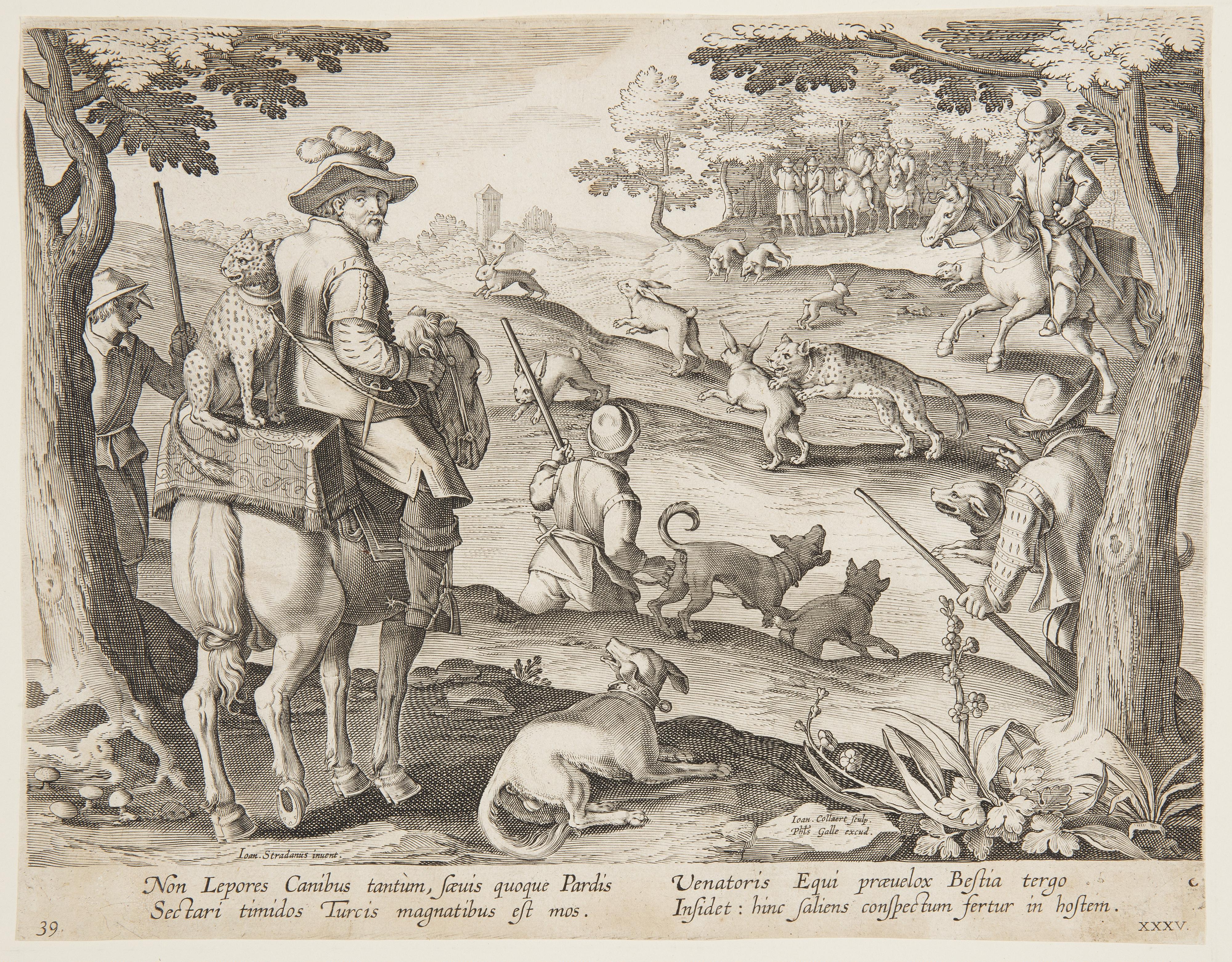 Rabbit hunt
