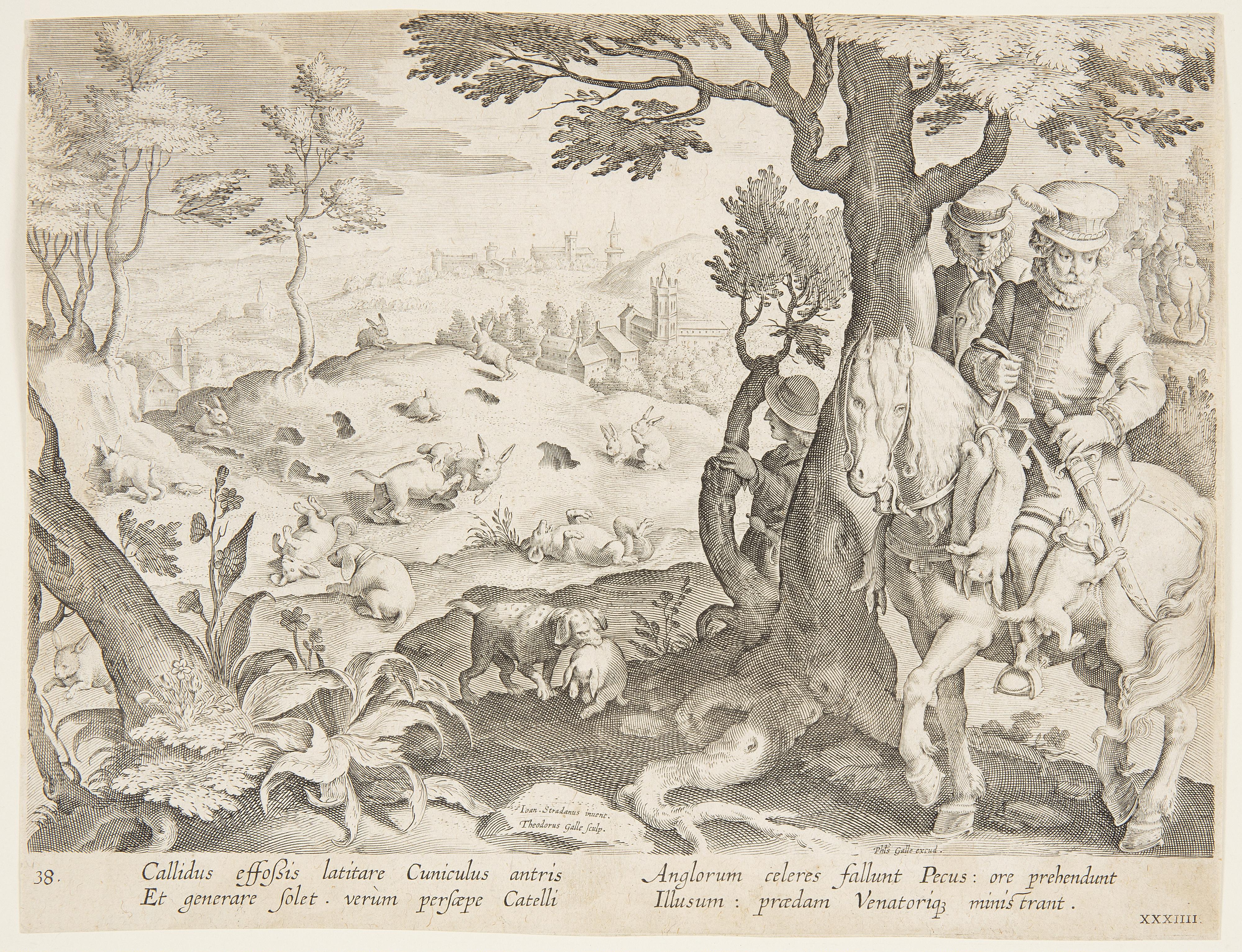 Rabbit hunt