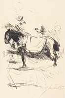 Reitpferd (Riding-Horse)