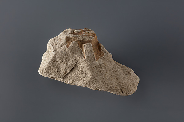 Relief fragment possibly from the tomb of Mereri