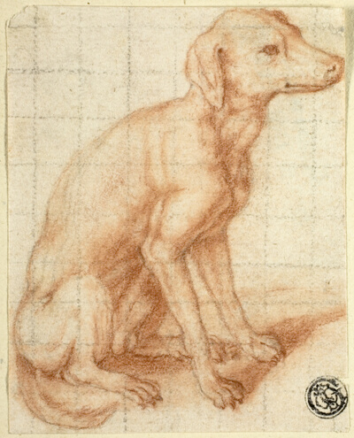 Retriever