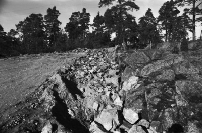 Riitankuja