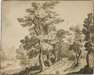 Road through Leafy Trees near Stream