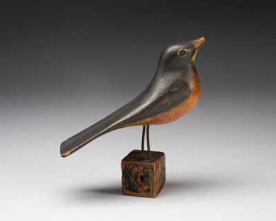 Robin