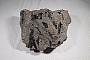 Rock fulgurite