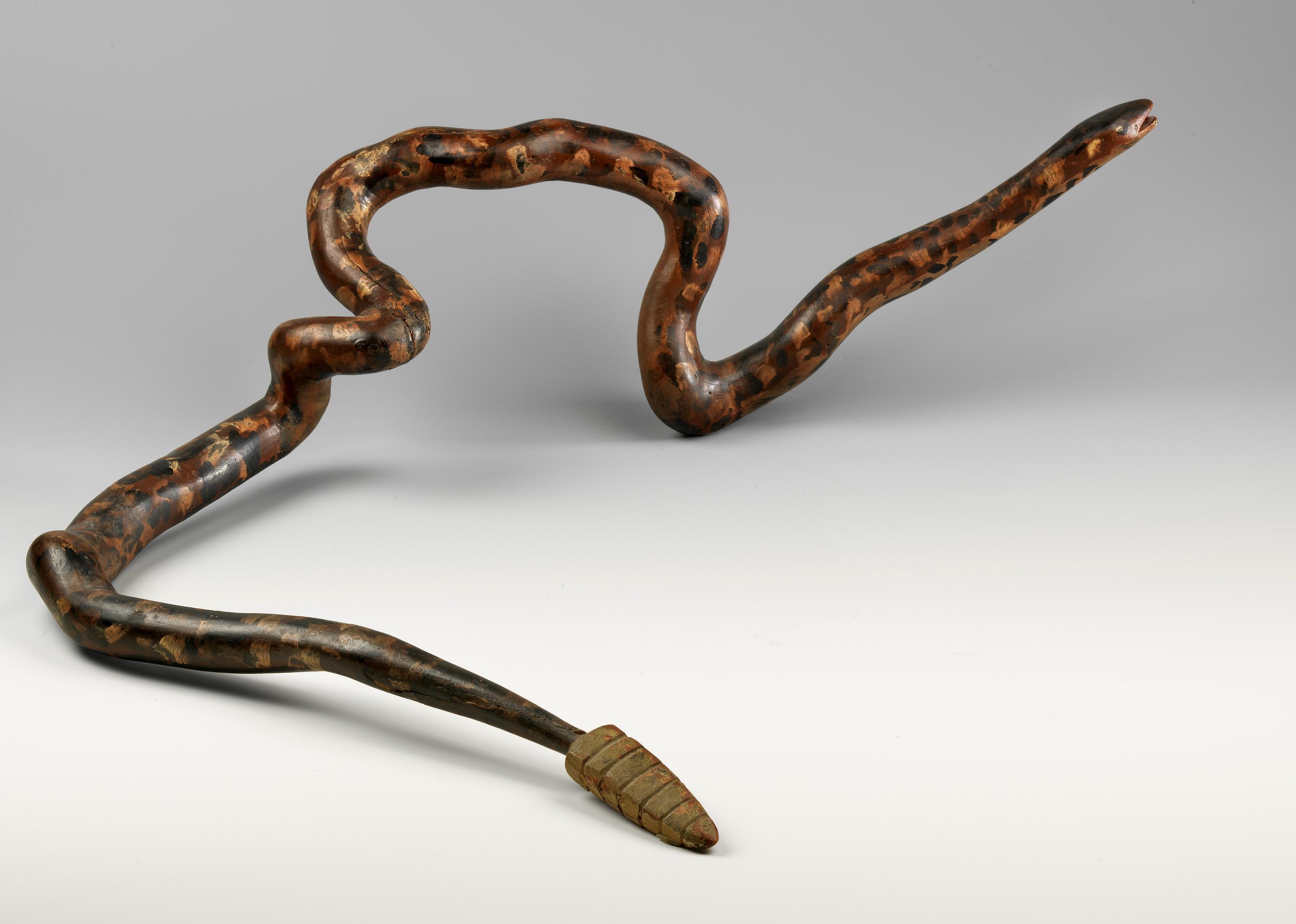 Root Rattlesnake