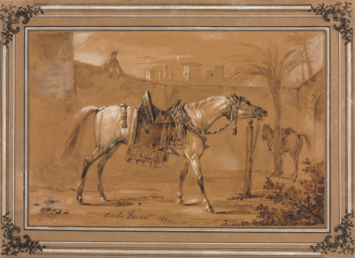 Saddled Arabian Horse in Courtyard