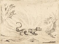 Salamander Surrounded by Flames