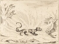 Salamander Surrounded by Flames