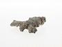 Sand fulgurite