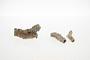 Sand fulgurite