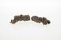 Sand fulgurite