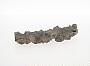 Sand fulgurite