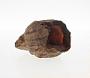 Sandstone concretion