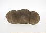 Sandstone concretion