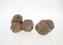 Sandstone concretion