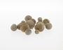 Sandstone concretion
