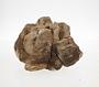 Sandstone concretion