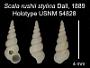 Scala rushii stylina