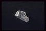Scapolite