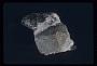 Scapolite