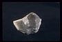 Scapolite