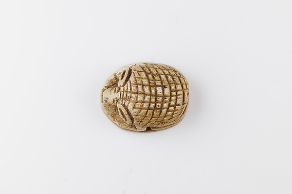 Scarab