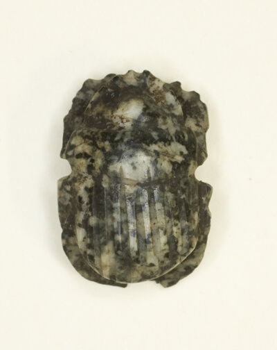 Scarab