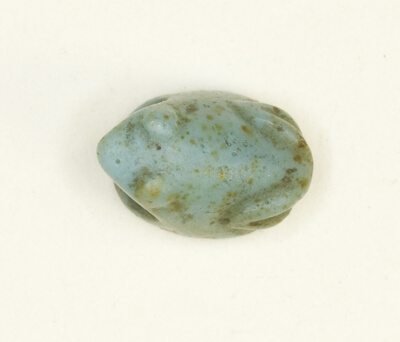 Scaraboid: Frog