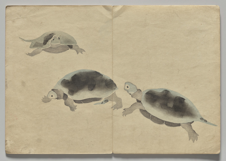 Scene from The Kōrin Picture Book (Volume 2)