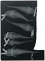 Sciadeops kessleri