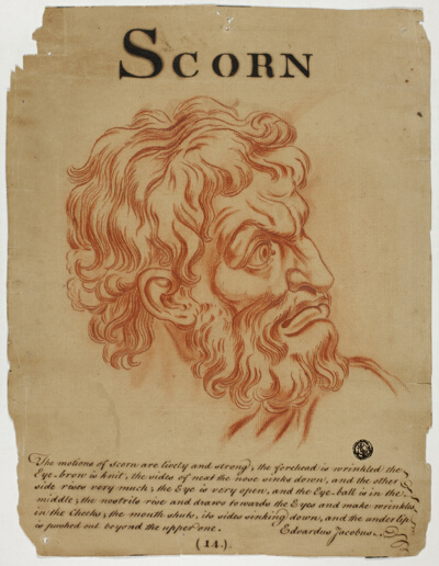 Scorn