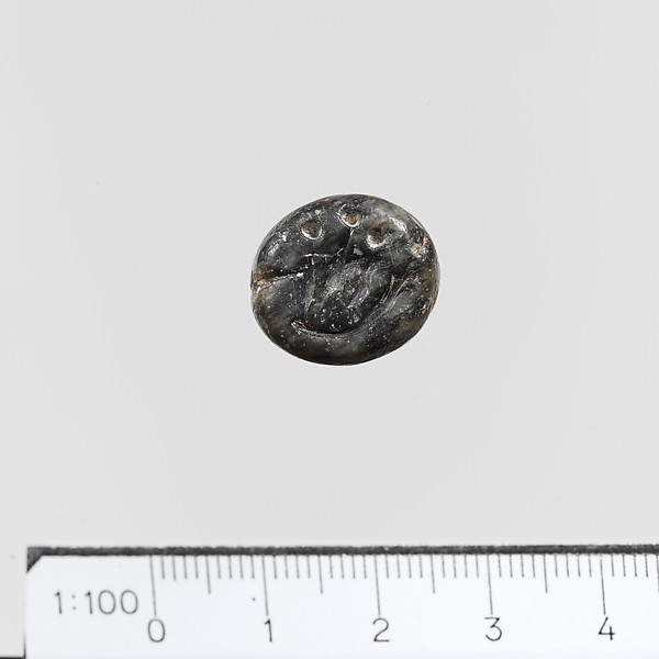 Seal