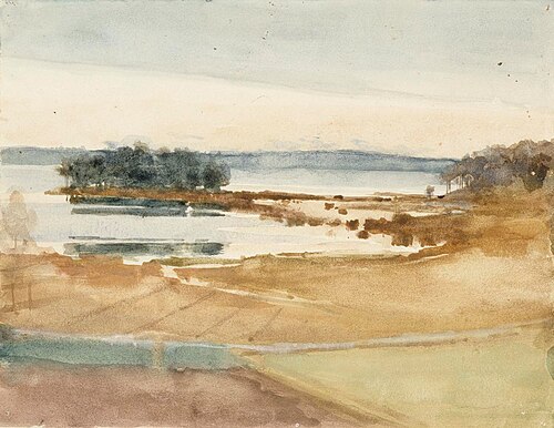 Seashore, Brown Sand