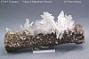 Selenite