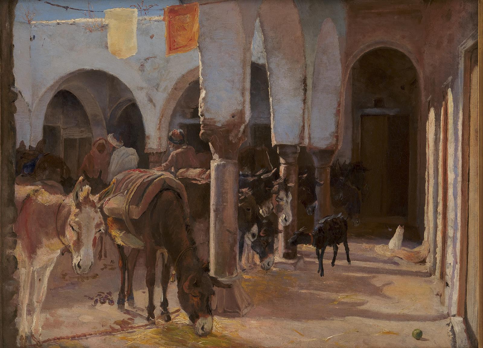 Æselstald i Tunis