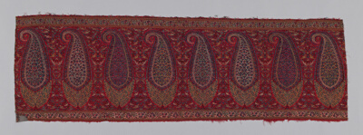 Shawl Border (Pallu)
