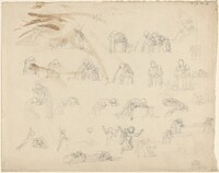 Sheet of Studies
