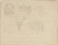 Sheet of Studies