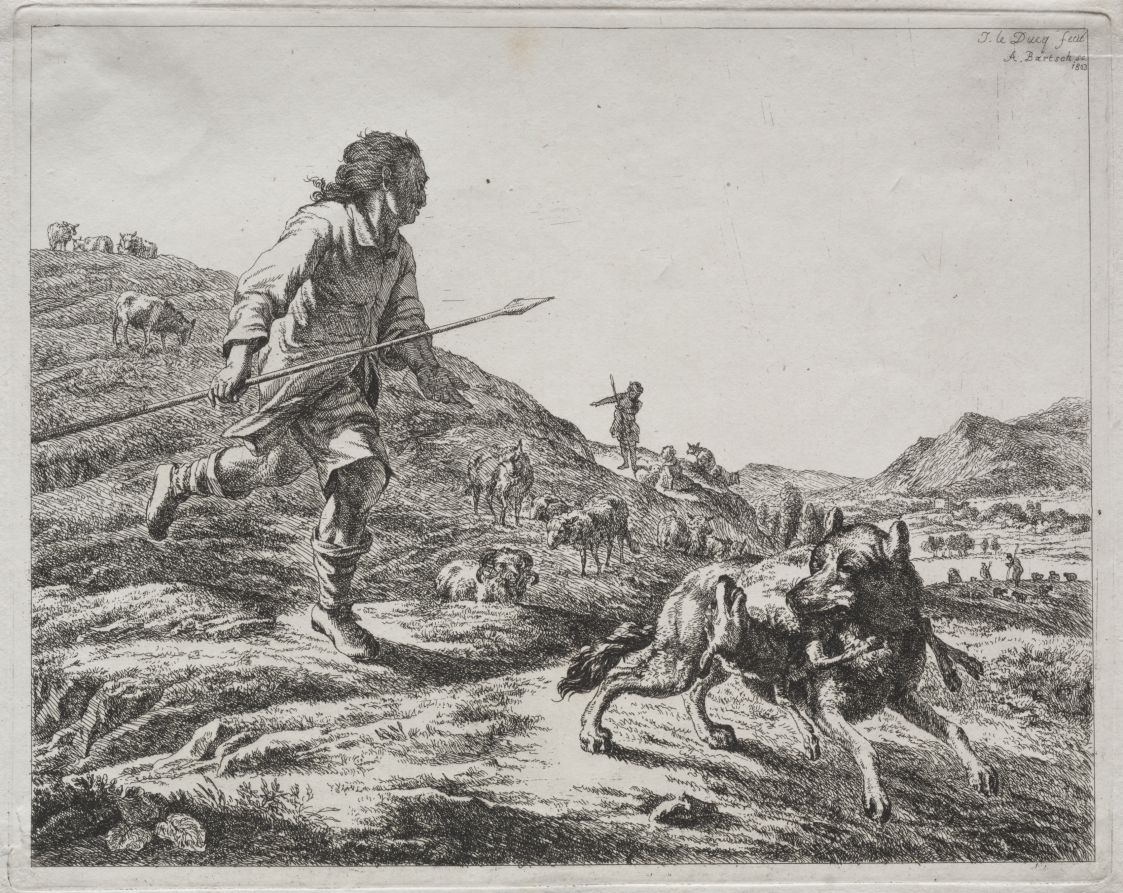 Shepherd Chasing a Wolf